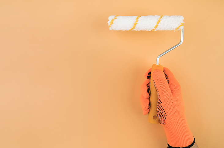 צביעת קירות בדירה - וולמסטרס