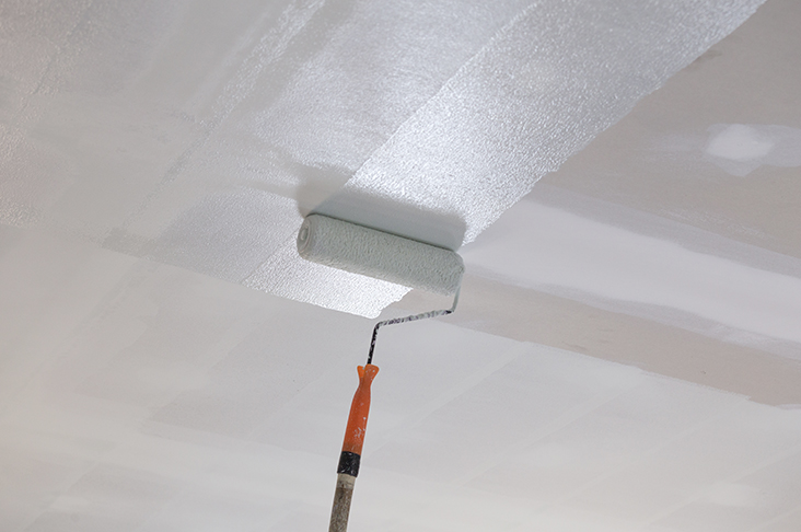 צביעת תקרה בדירה - וולמסטרס